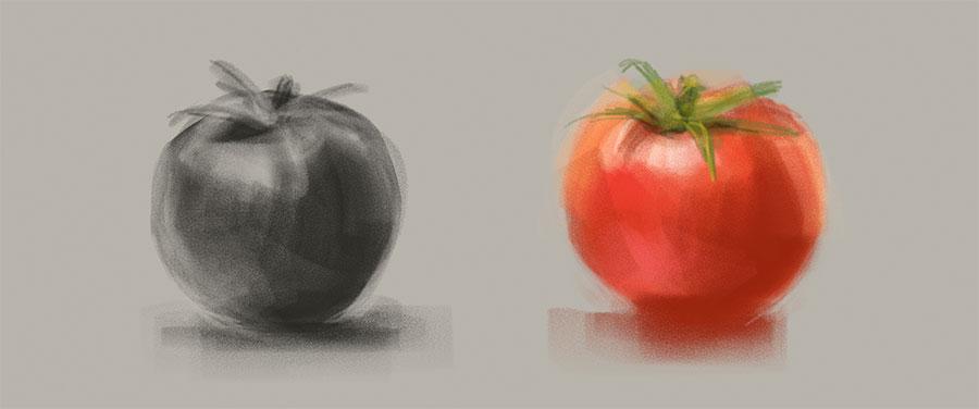Surface Pressure tomato drawings in grayscale and color