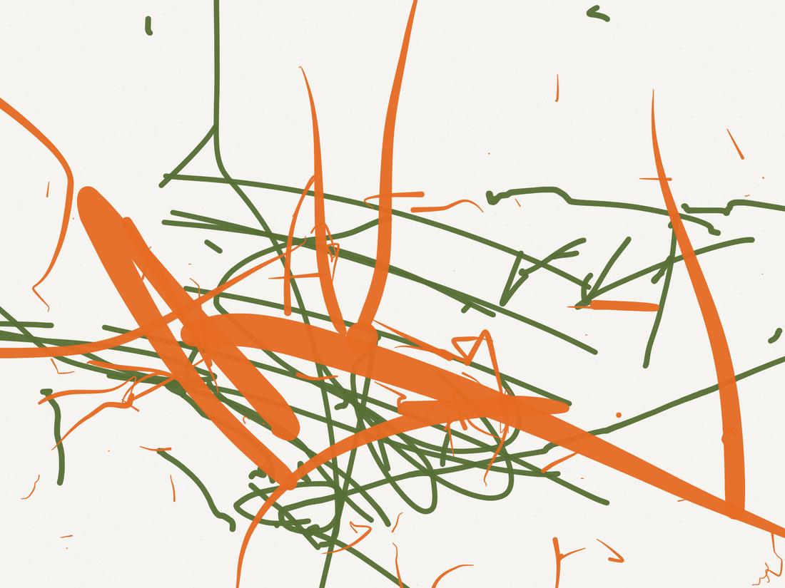 Chloe's first Paper drawing