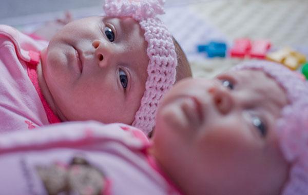 The 2 little rosebuds