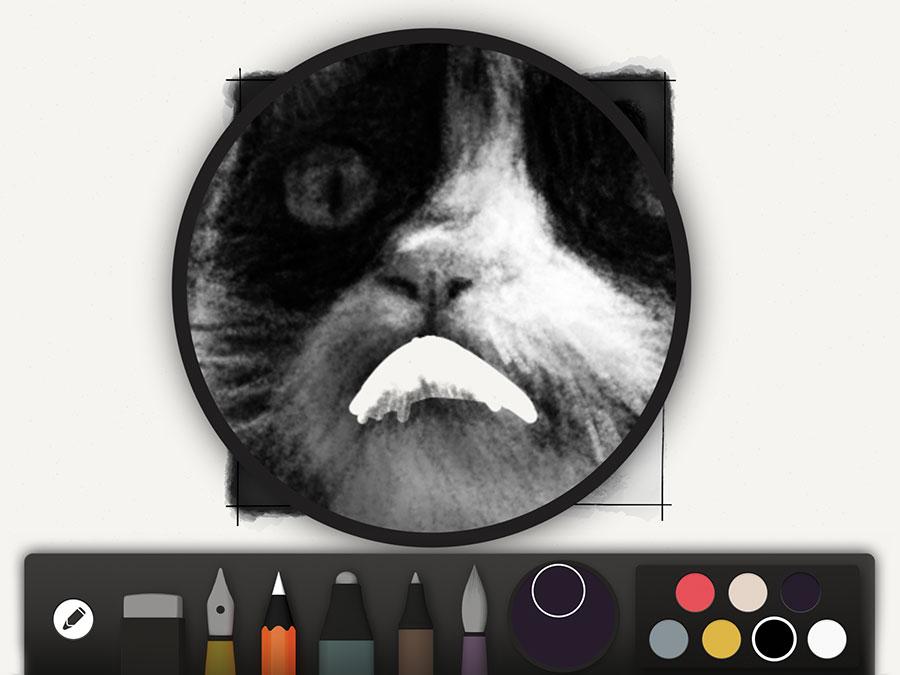 erasing fur and hair can ruin the effect