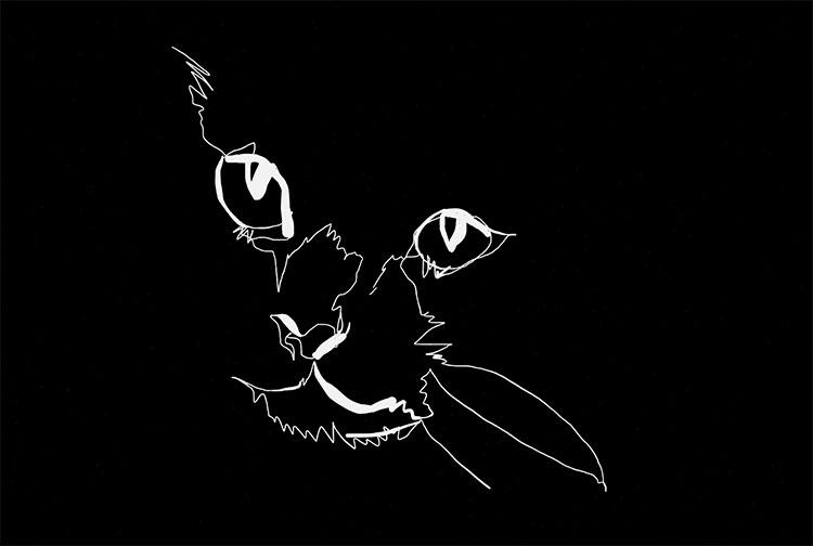 Scratch board blind contour of a cat