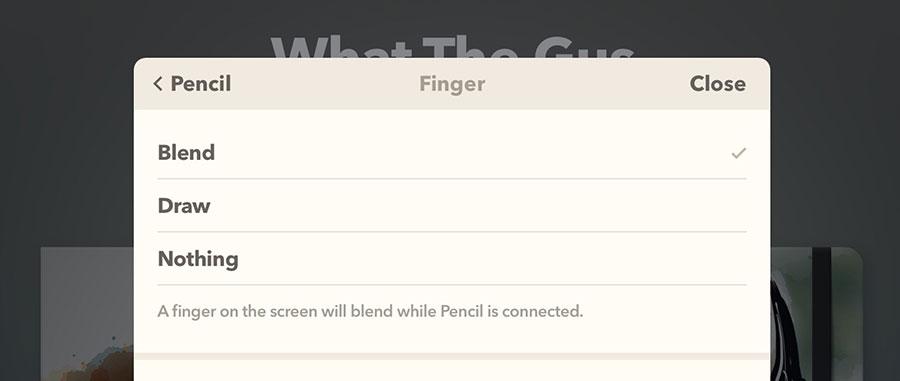screenshot of Finger settings
