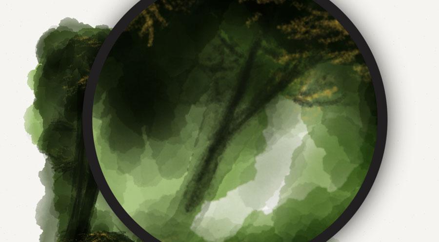 screenshot of branch detail